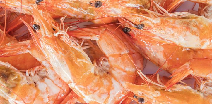 selective-focus-steamed-shrimp-white-plate